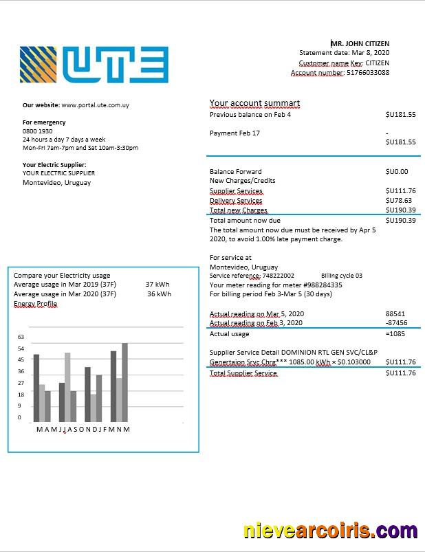 Uruguay UTE electricity bill